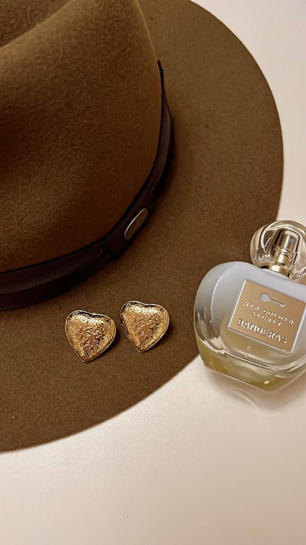 15396205362-whatsapp-image-2025-11-25-at-16-16-06.jpeg Brincos Country Girl