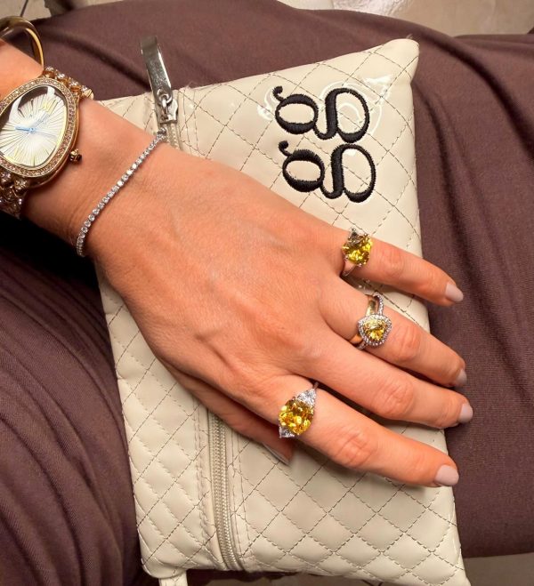 15423407527-whatsapp-image-2026-01-31-at-13-29-06-2.jpeg Anel Sunshine