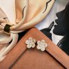 15617758245-whatsapp-image-2026-10-01-at-07-11-10.jpeg Brincos Flor de Cristal